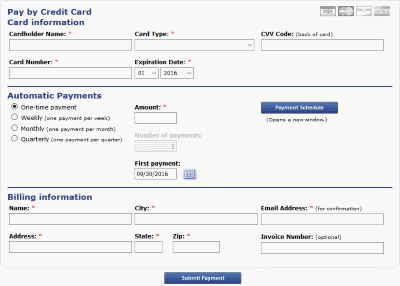 Picture of Credit Card payment form